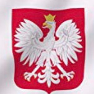 PaczkowskaD's profile picture. New to Twitter , Polish granddad but i am English , like to laugh , love football , Boxing like Man C , Wolves Brighton and Southampton