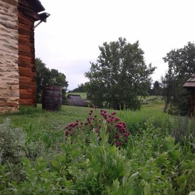 elizaobediah's profile picture. All views are my own.