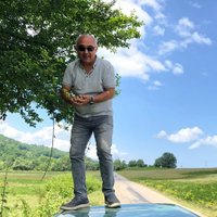 koray agri #LUNC (@korallrahn) 's Twitter Profile
