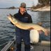Pat Walsh (@pwfishes) Twitter profile photo Pat Walsh (@pwfishes) Twitter profile photo