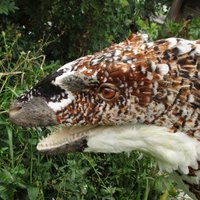 Lyn Joyce (@book_rat) 's Twitter Profile Photo Lyn Joyce (@book_rat) 's Twitter Profile Photo