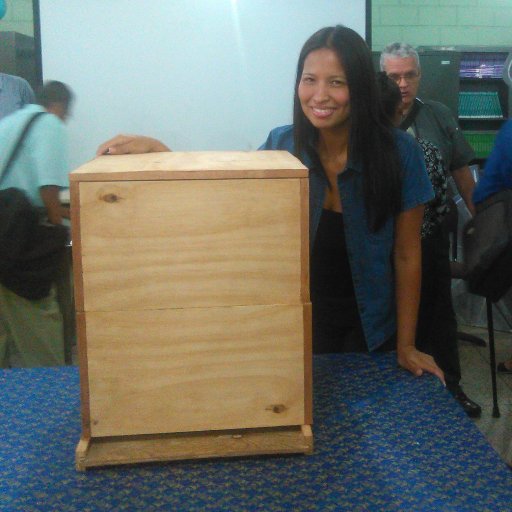 Ing. Mecánico