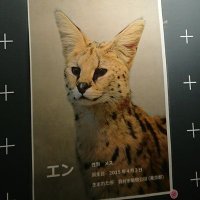 ENDO_3 (@endo_33) 's Twitter Profile Photo ENDO_3 (@endo_33) 's Twitter Profile Photo
