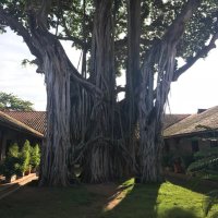 Alvaro Lemus (@alvarolera) 's Twitter Profile