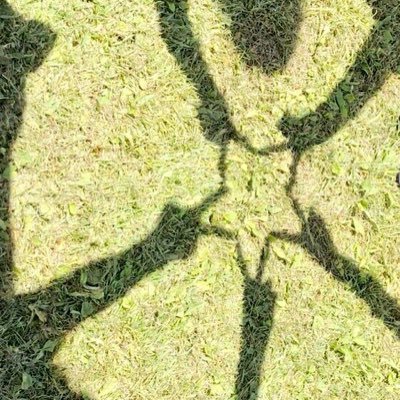 amanotchi17's profile picture. 