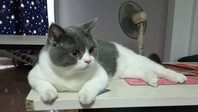 ガミとウェーバーさんのプロフィール画像