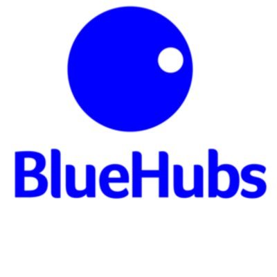BlueHubs Profile