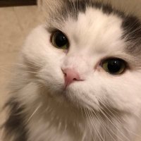 taka4ka2 (@taka4ka2) 's Twitter Profile