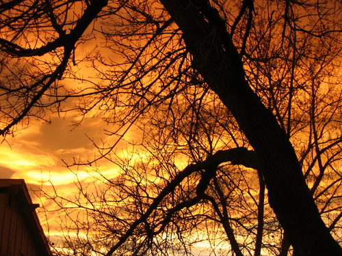 Denver_Writers's profile picture. Denver writers sharing/mentoring varied crafts: screenplays, poetry, short stories, photojournalism, novels, web, multi-media, etc.