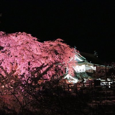 柴田将平 アナウンサー はじめしゃちょー Hajimesyacho に関するニュースをお伝えしました 久しぶりの静岡でのニュースは緊張しました 日本初のアナウンサーyoutuber アナチューバー 誕生です ぜひご覧ください はじめしゃちょー 1億回再生