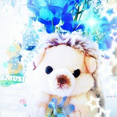 🐁🐇🐼fluffy🐾🐈🐕さんのプロフィール画像
