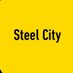 Steel City (@2TerribleTowel7) Twitter profile photo