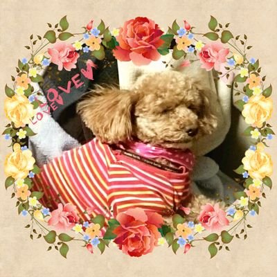 櫻 はなさんのプロフィール画像