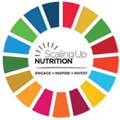 The SUN Movement CSA is a growing network of Civil Society Organizations promoting sustainable improvement in the nutrition status in South Sudan