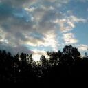 Jamie High - @squashblossom74 - Twitter