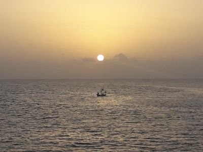 MaheshNYC's profile picture. 