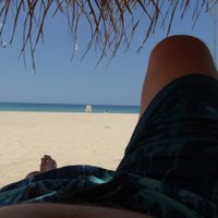 norwichperv (@norwichperv) 's Twitter Profile