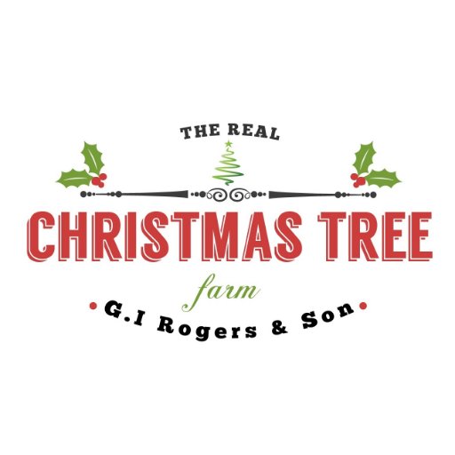 RealChristmasT's profile picture. G.I Rogers & Son Christmas Trees are one of UK's biggest suppliers of large Christmas trees. We can offer you trees of up to 35ft!