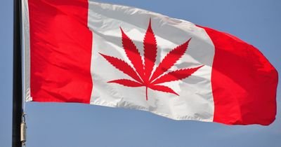420
Yıkık bir müptela
Kamu spotu: Esrar yasal olsun
Yıldız tilbe.
Taladro.
Sokak lambaları.
Güzel olan ne varsa...