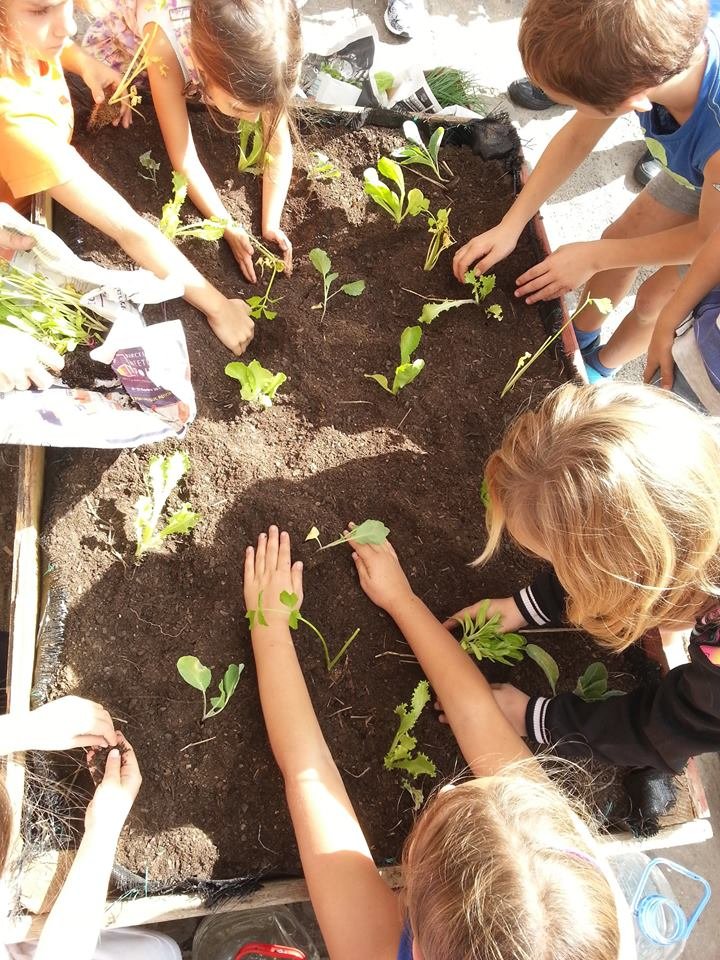 Associació que promou la gestió comunitària del verd, ajudant a re-naturalitzar l'entorn social i urbà de l'Esquerra de l'Eixample. https://t.co/i3s4HWfZ8f