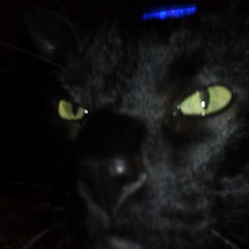 FAlexanderMunoz's profile picture. 