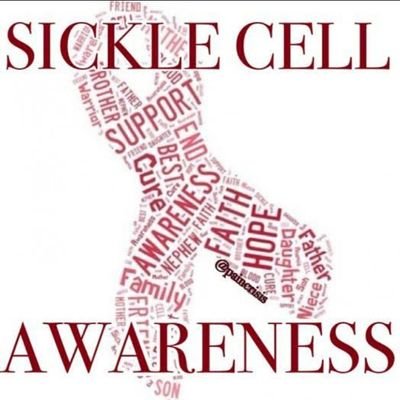 An Organization committed to creating awareness towards ending the scourge of Sickle Cell Anemia and promoting general healthy life