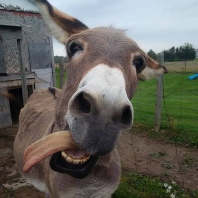 kicksaveread's profile picture. 