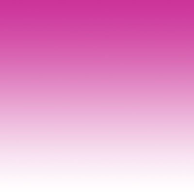 Mentorship program for young women of colour and non-binary folks in the arts. 2016-2022