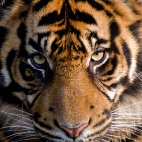 DChenns's profile picture. 