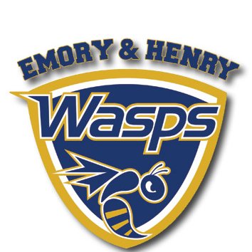 Emory & Henry College Student Athlete Advisory Committee. Go Wasps!
