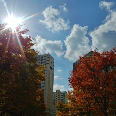 이제는 정의로운 세상을 정착 시키자.
몰상식이 흔들어대도 흔들리지않는 상식적이고 정의로운 대한민국을 꿈꾼다!