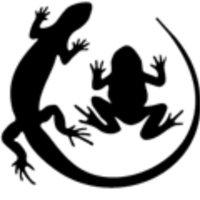 HIWARG (@hiwarg) 's Twitter Profile