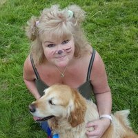 Lesley Cleaver - @LesleyCleaver1 Twitter Profile Photo