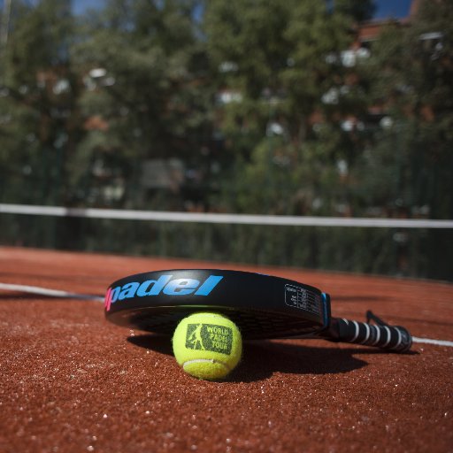 michelescalera1's profile picture. 