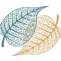 IMS (@insmedsoc) 's Twitter Profile
