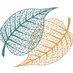 IMS (@insmedsoc) Twitter profile photo IMS (@insmedsoc) Twitter profile photo