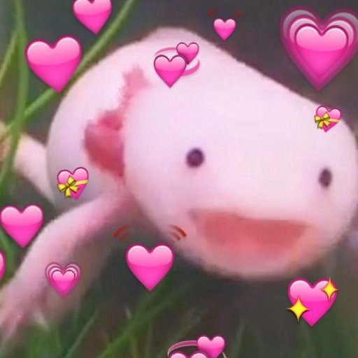 warmcupoftwee's profile picture. I make pretty web things! She/her.