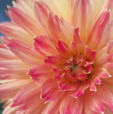 jenshindo's profile picture. Attention is the food of the gods. What are you doing with yours?

 https://t.co/2HA0blxfl9