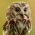 Michelle Weingart (@micheleweingart) Twitter profile photo Michelle Weingart (@micheleweingart) Twitter profile photo