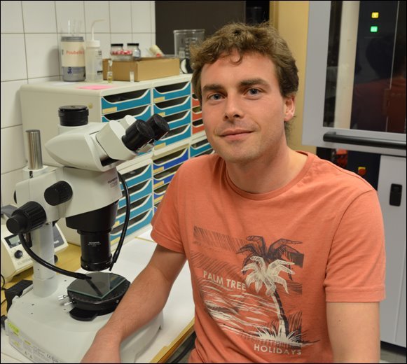 FalaiseClement's profile picture. 