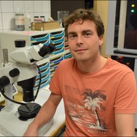 Clément Falaise (@falaiseclement) 's Twitter Profile Photo Clément Falaise (@falaiseclement) 's Twitter Profile Photo