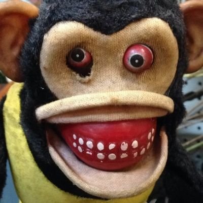 AgainUgh's profile picture. because we all need to be trolled just a little. Please dont follow me, I'll block you 🙂