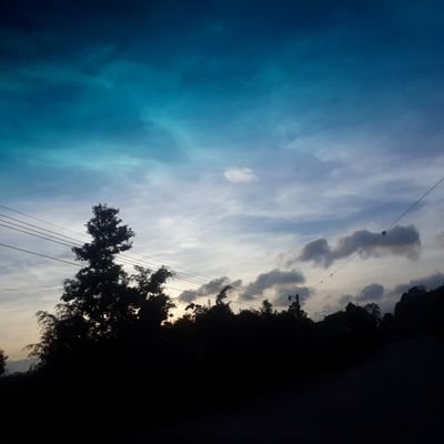 EdwinHe08844551's profile picture. 