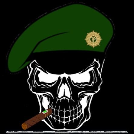 Im an Irish streamer getting started on mixer. Come join in the craic!