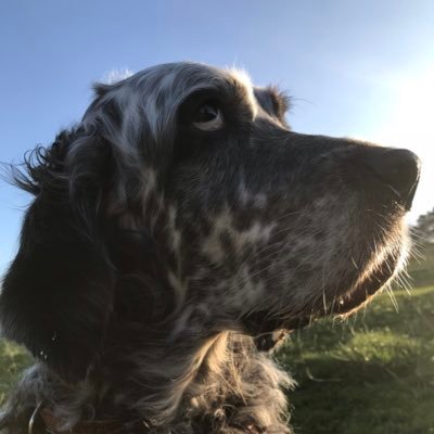 Senior Lead Managing & Sustaining Tenancies: passionate about social justice and creating safe, thriving communities. All opinions are definitely someone's.