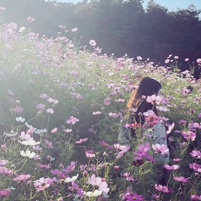 axmxy65's profile picture. 