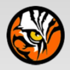 VAtes_tigers Profile Picture