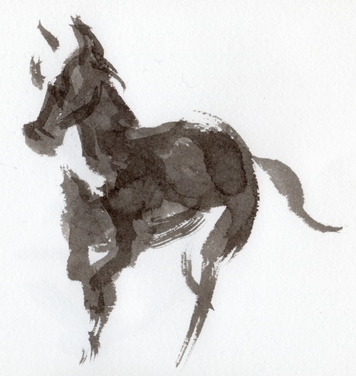 shinobushi452's profile picture. 