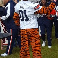 Tim Warren (@timwarr73882228) 's Twitter Profile