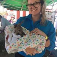 Annabelle Garratt (@annabellegarra1) 's Twitter Profile Photo Annabelle Garratt (@annabellegarra1) 's Twitter Profile Photo